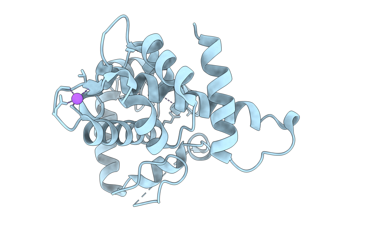 3SIB image