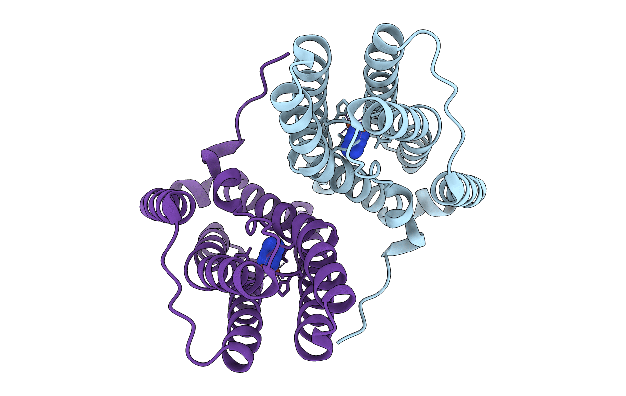 3SID image