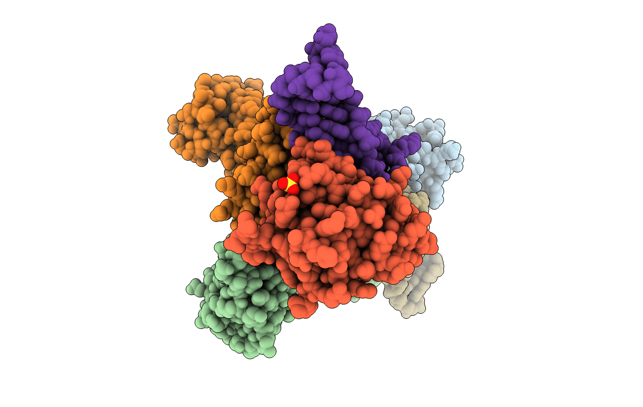 3SIU image
