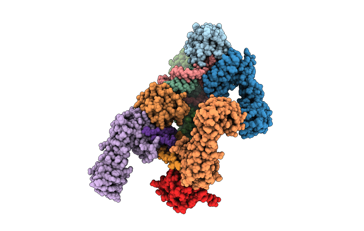 3SIV image