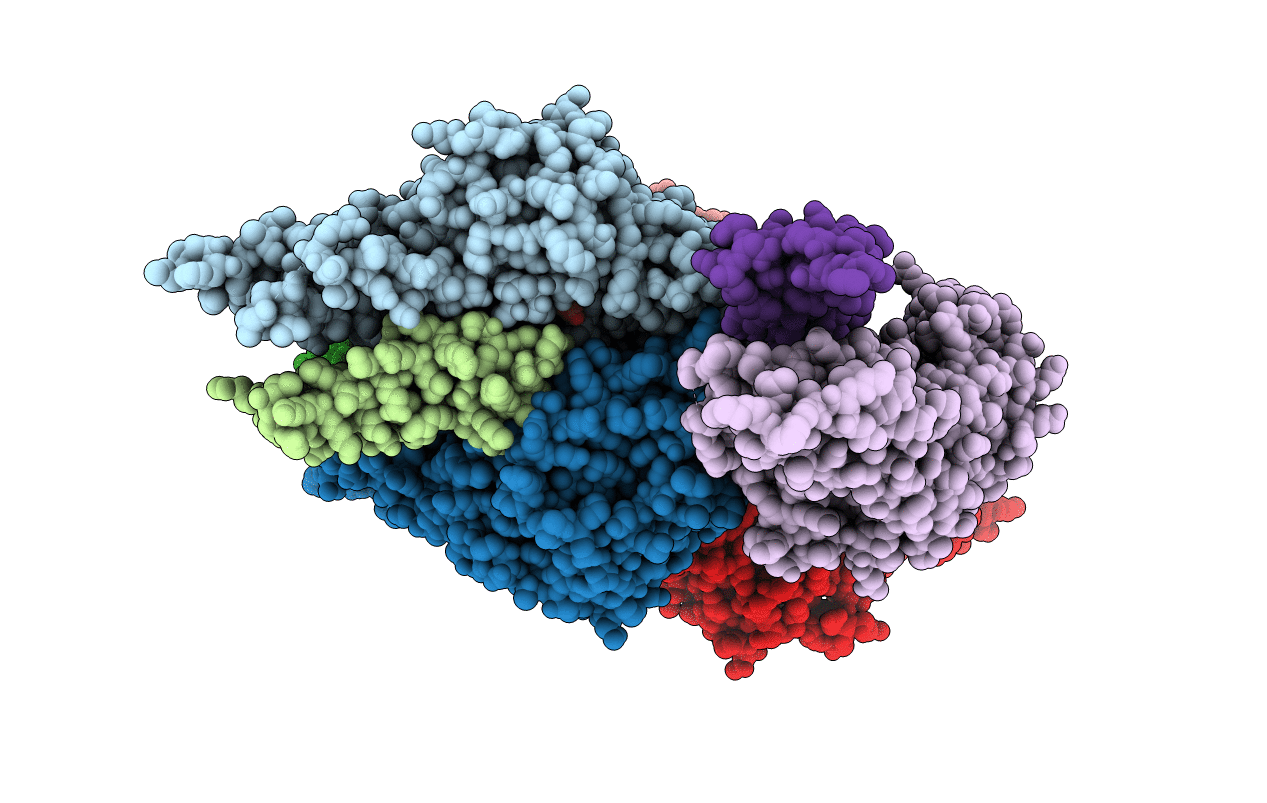 3SJA image