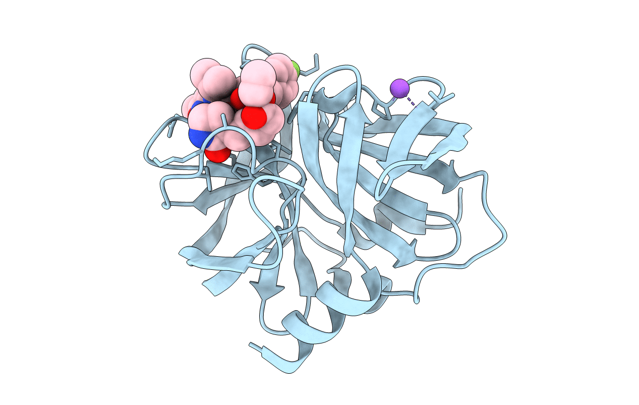 3SJI image