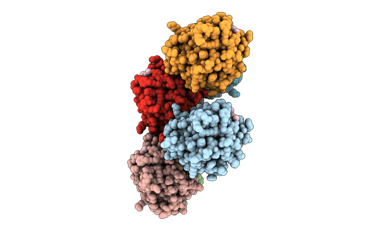 3SJO image