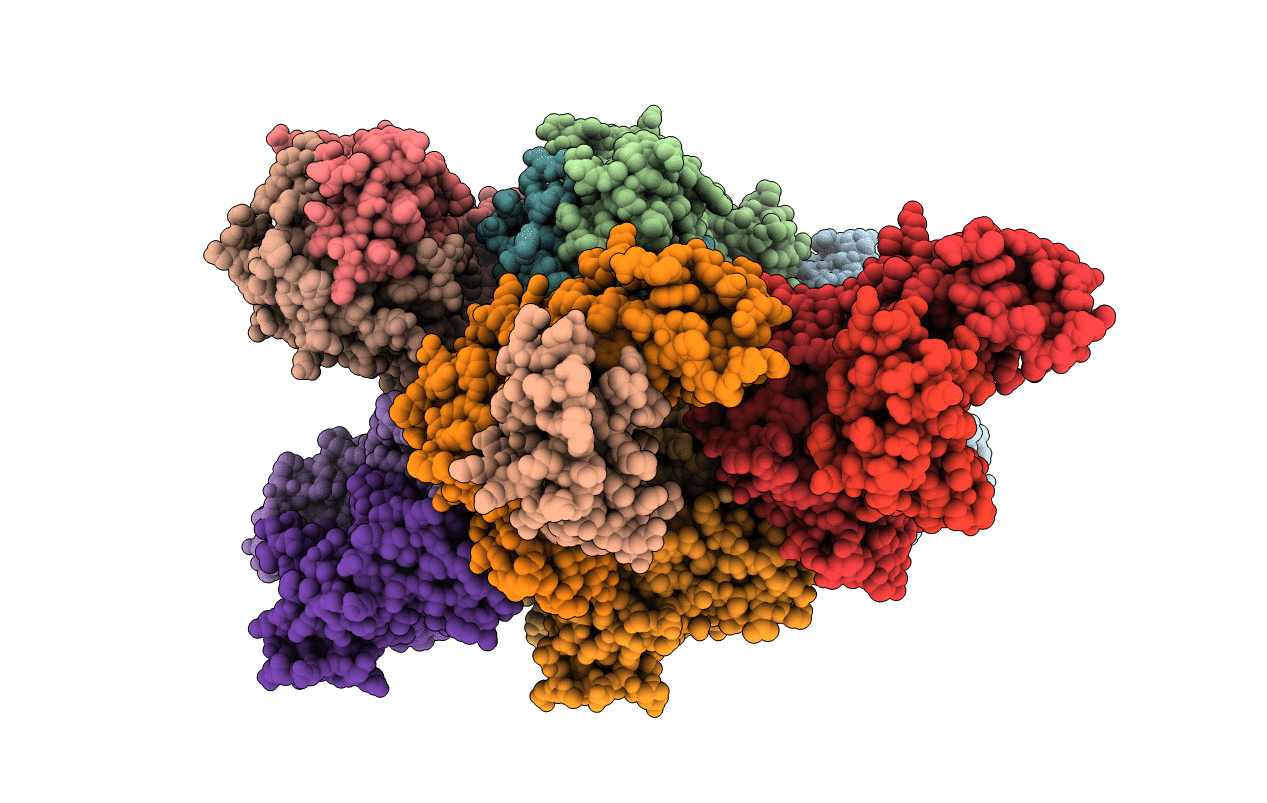 3SJV image