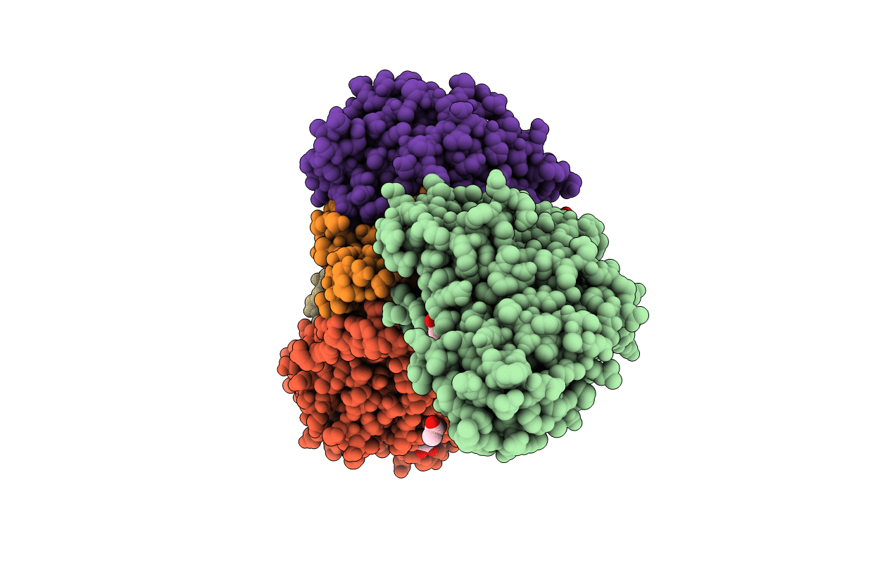 3SLE image