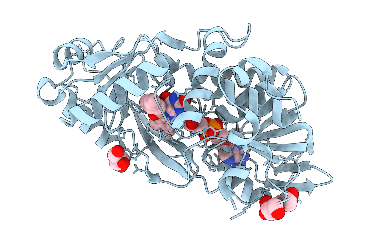 3SM8 image