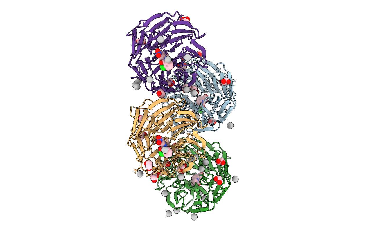 3SMR image