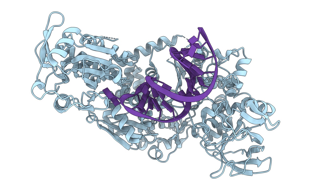 3SN2 image