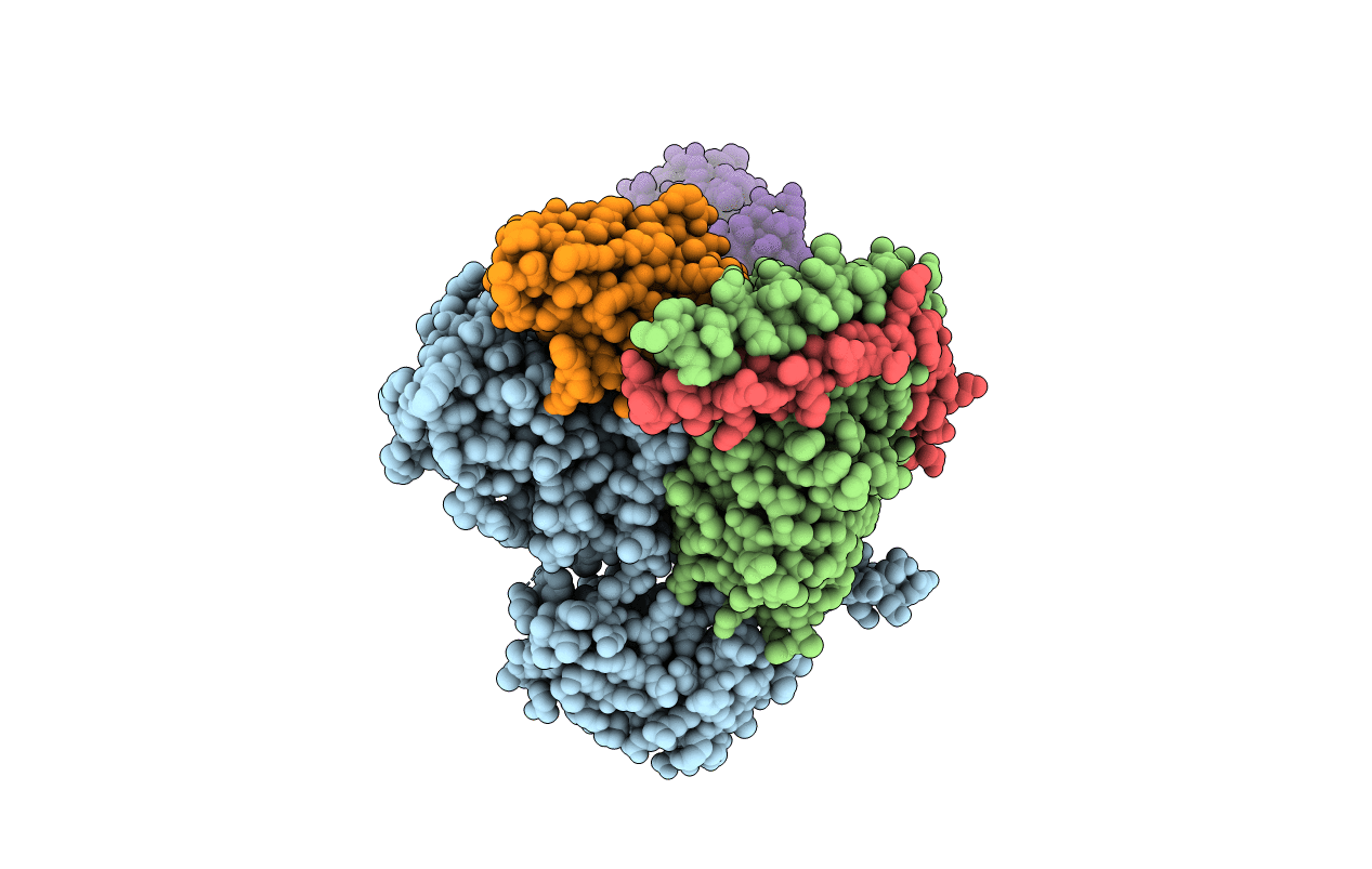 3SN6 image