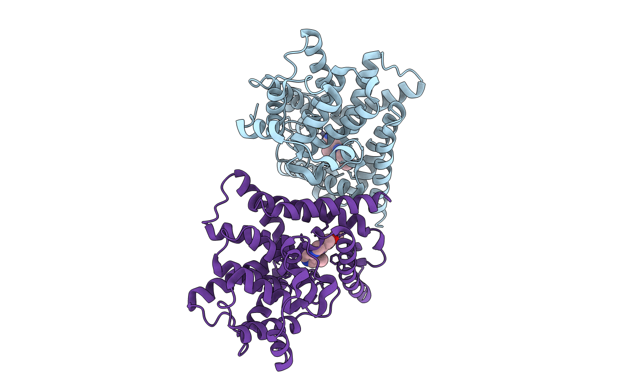 3SN7 image