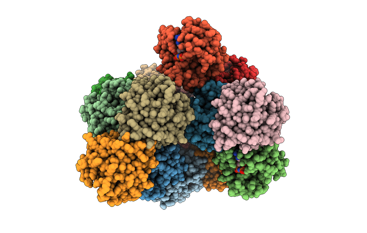 3SN9 image