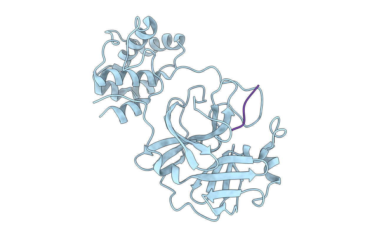 3SNA image