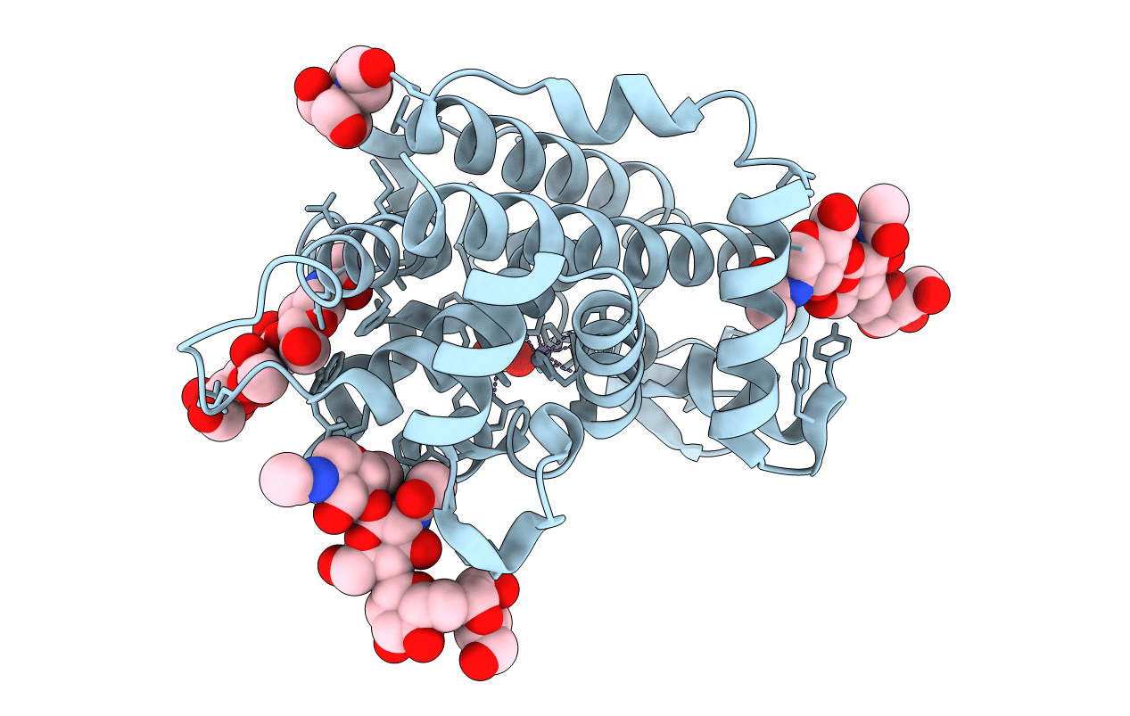 3sng image