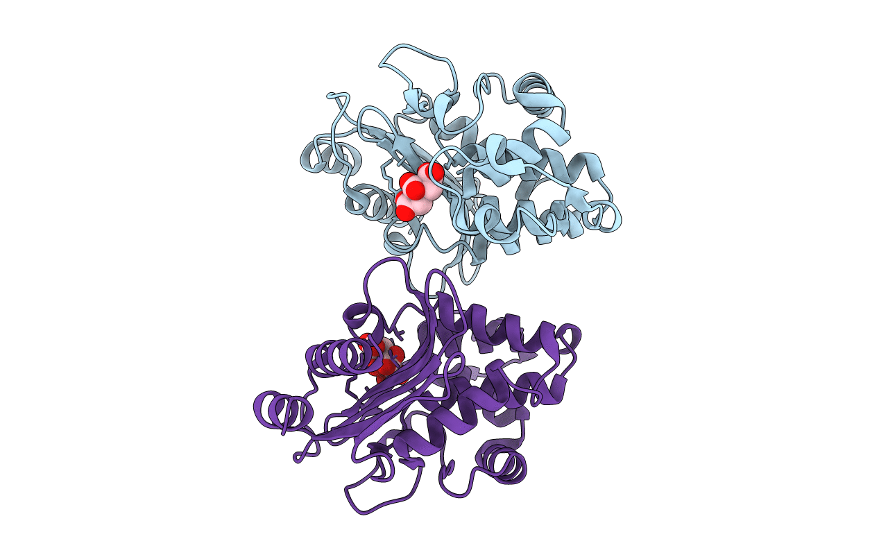 3SOI image