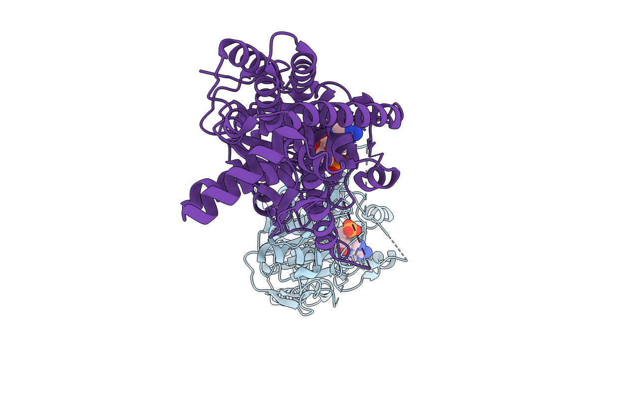 3SP1 image