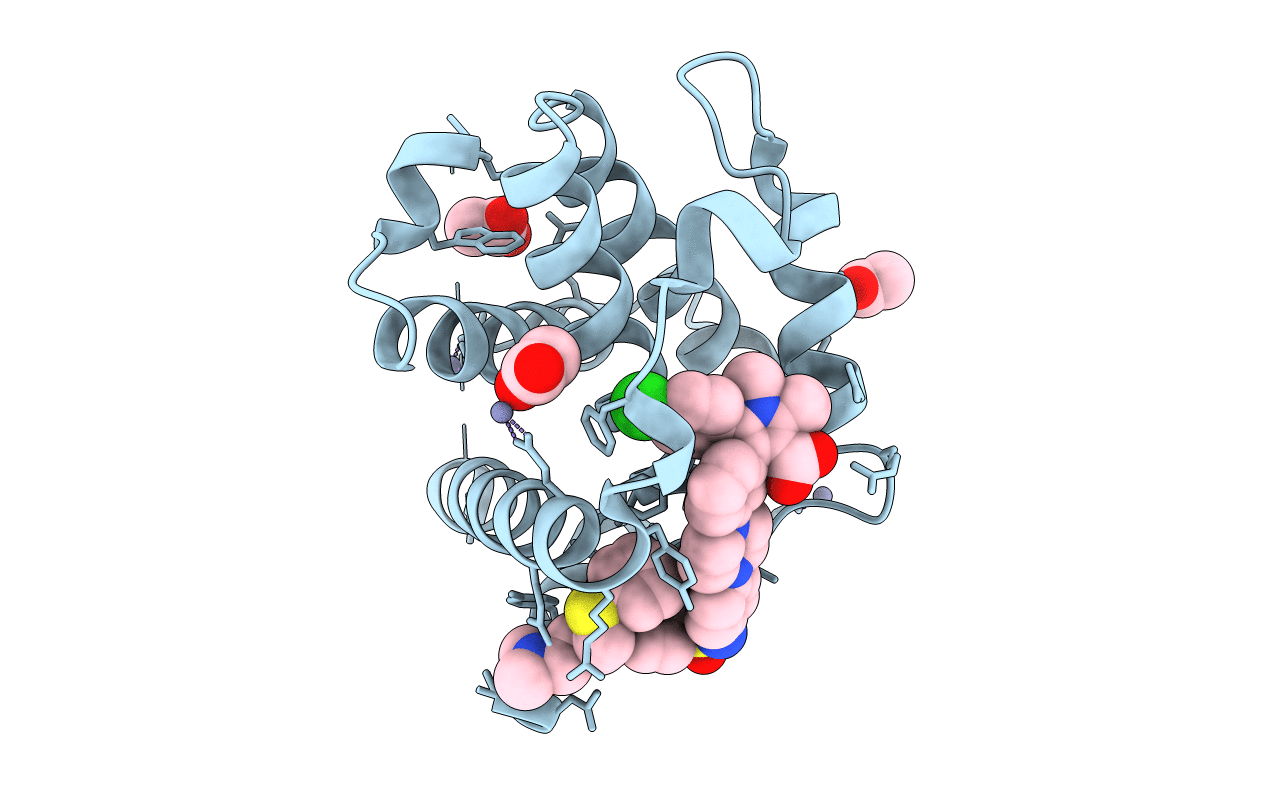 3SP7 image