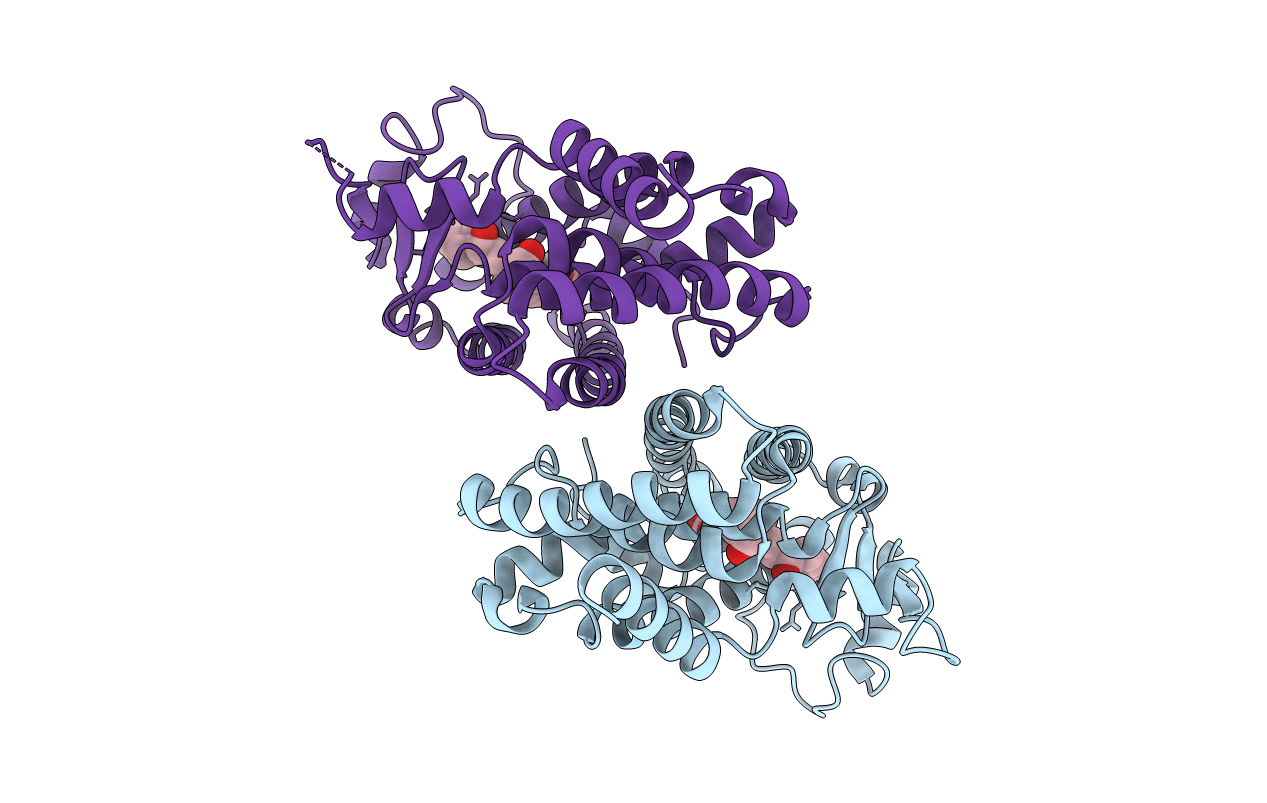 3SP9 image