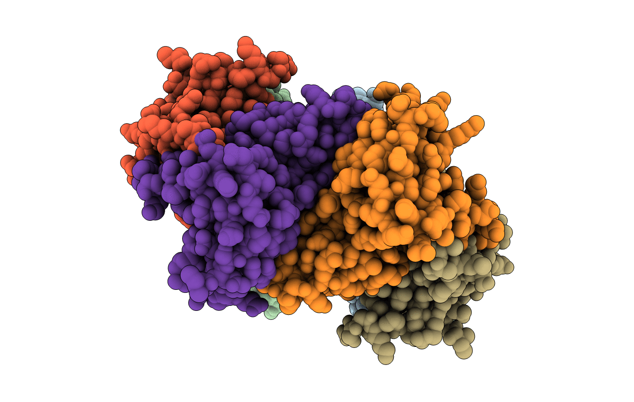 3SPS image