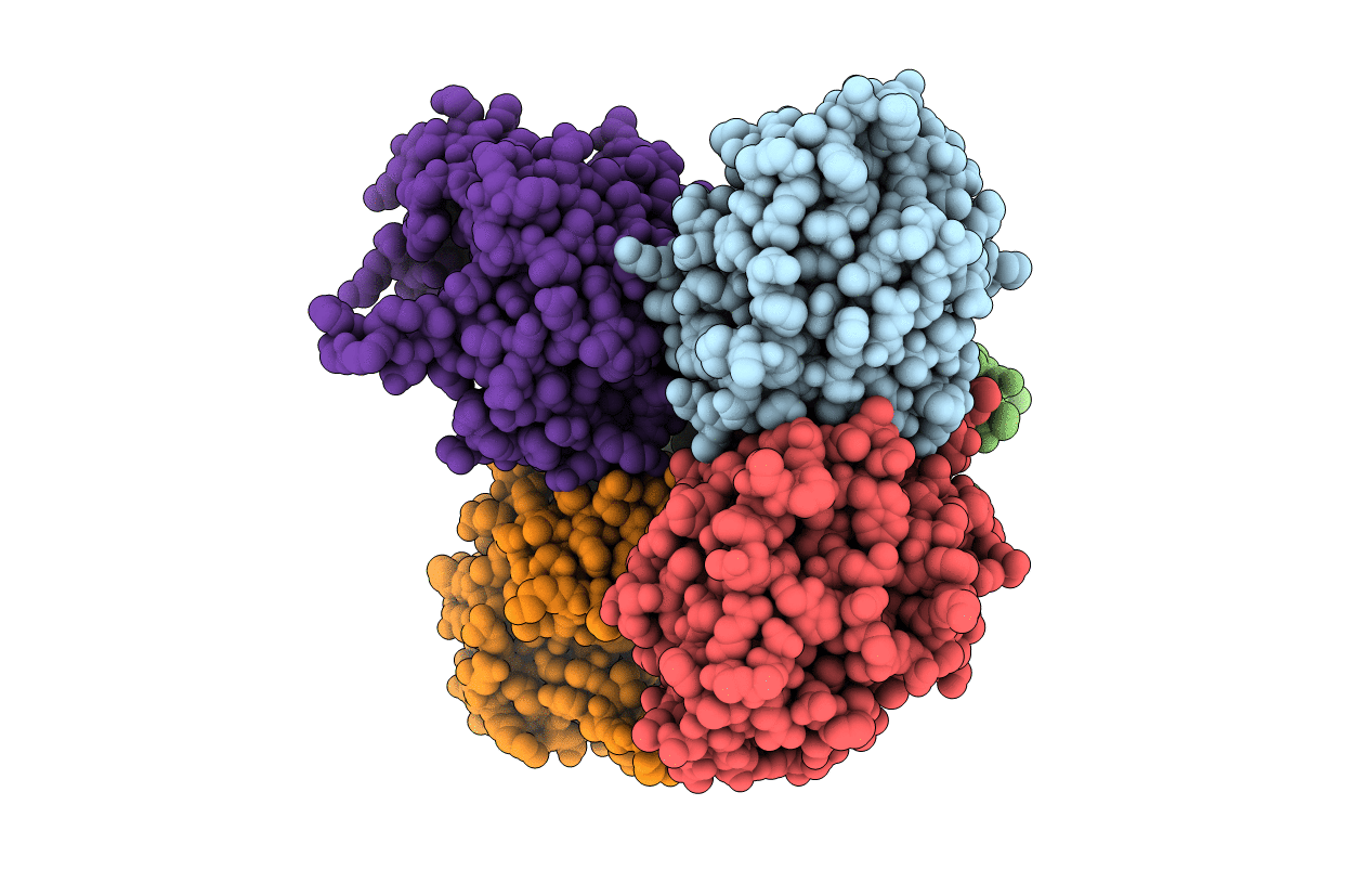 3SPU image