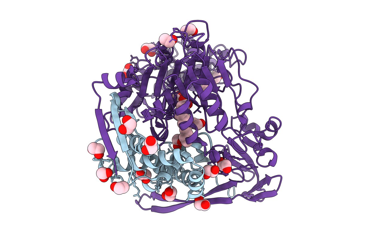3SRA image