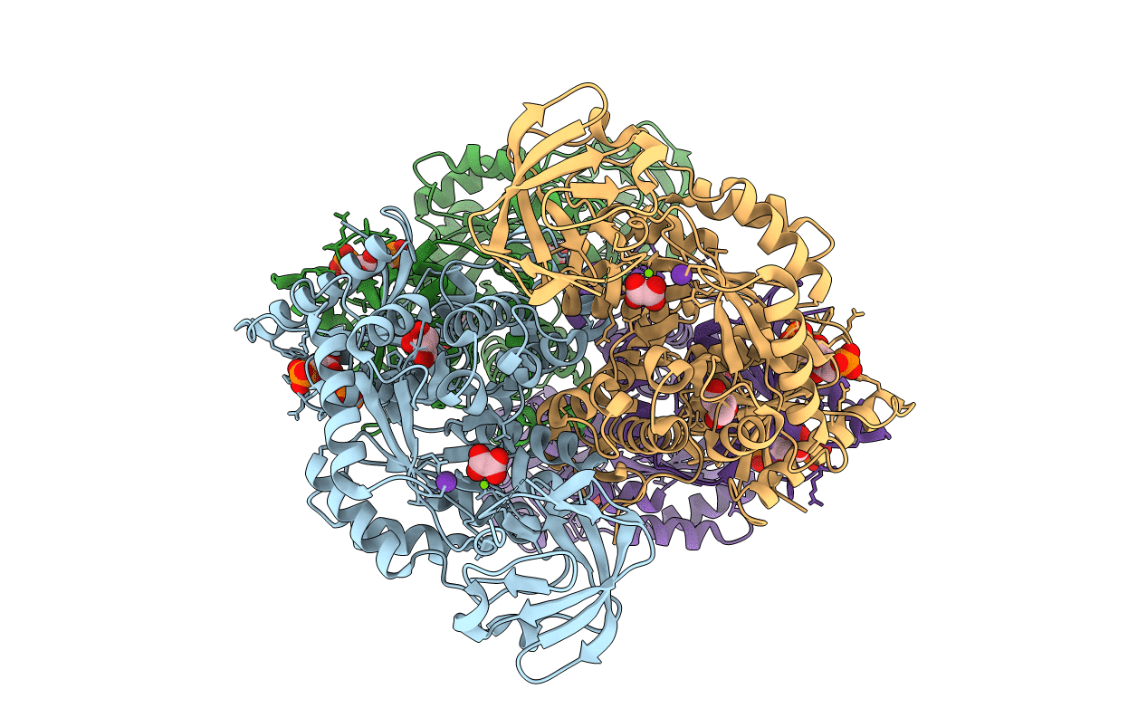 3SRD image