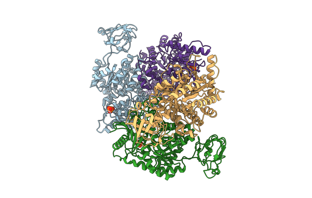 3SRH image