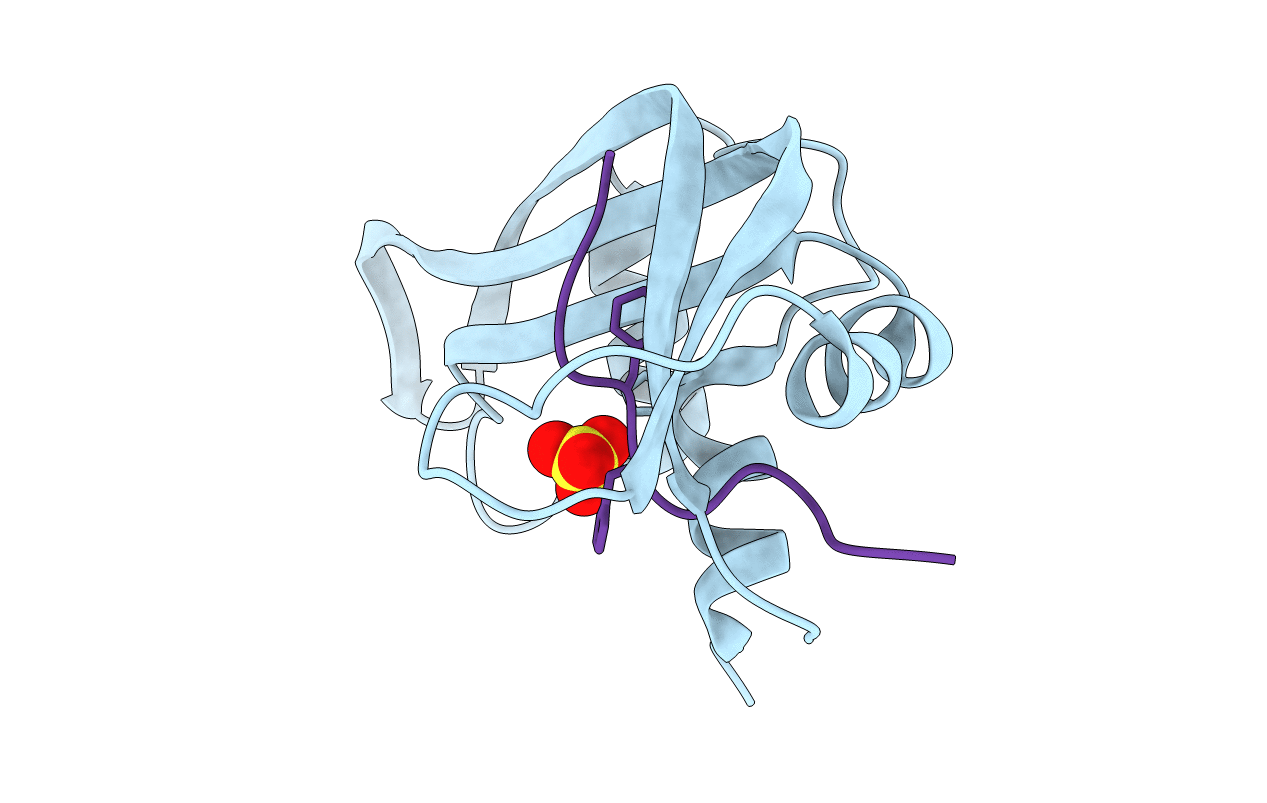 3SRN image