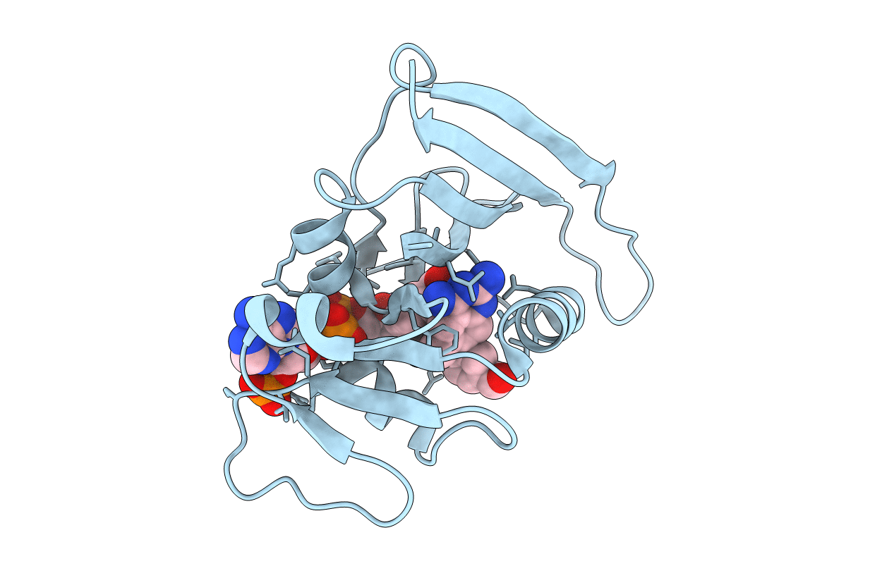 3SRR image