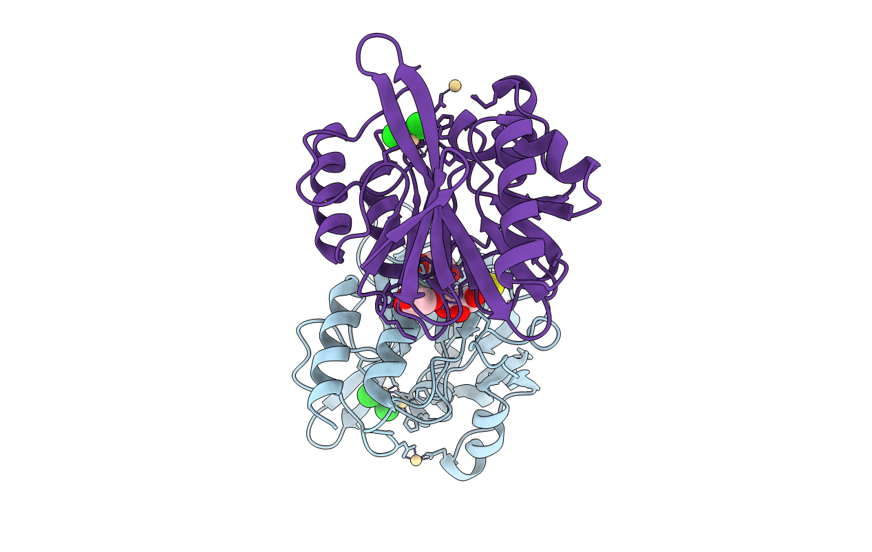 3SRX image