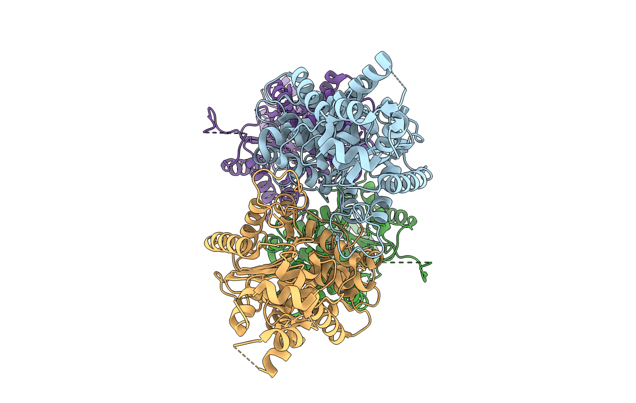 3SS3 image