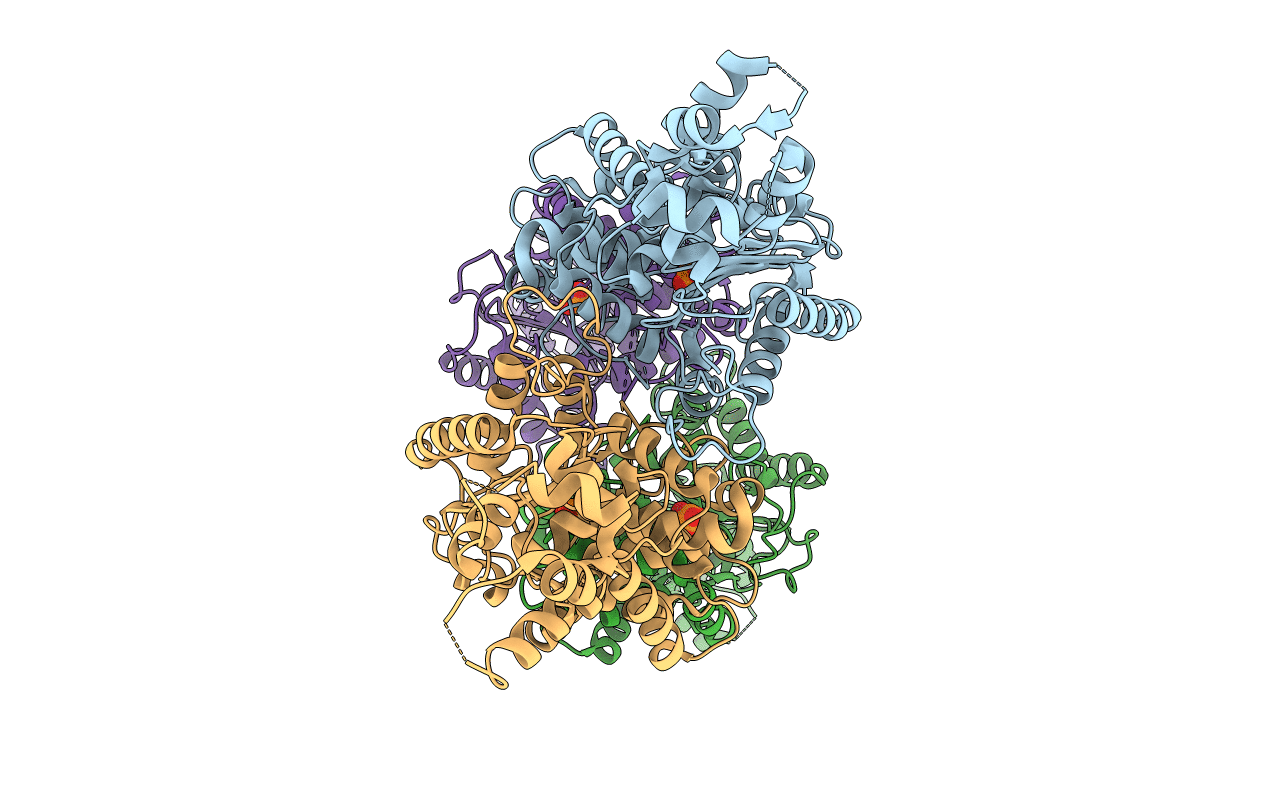3SS4 image