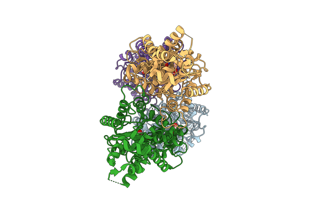 3SS5 image
