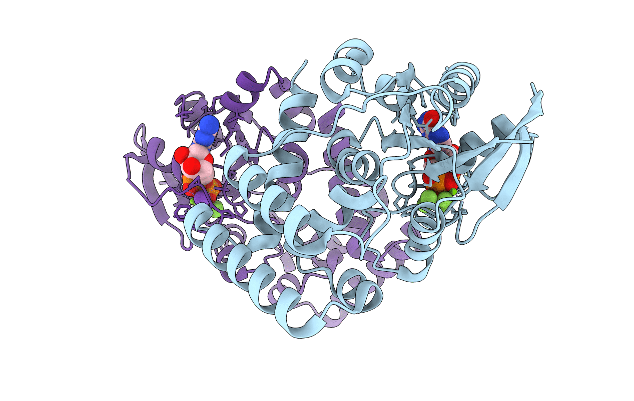 3SS8 image