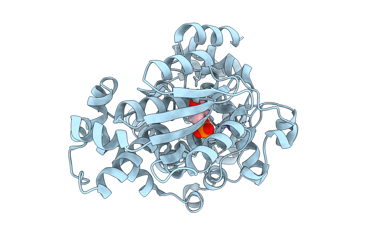 3SS9 image