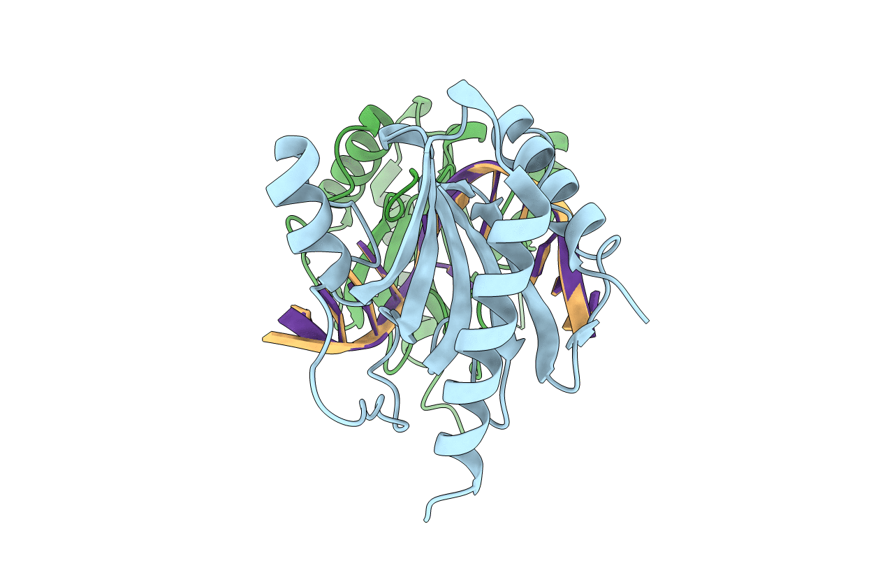 3SSC image