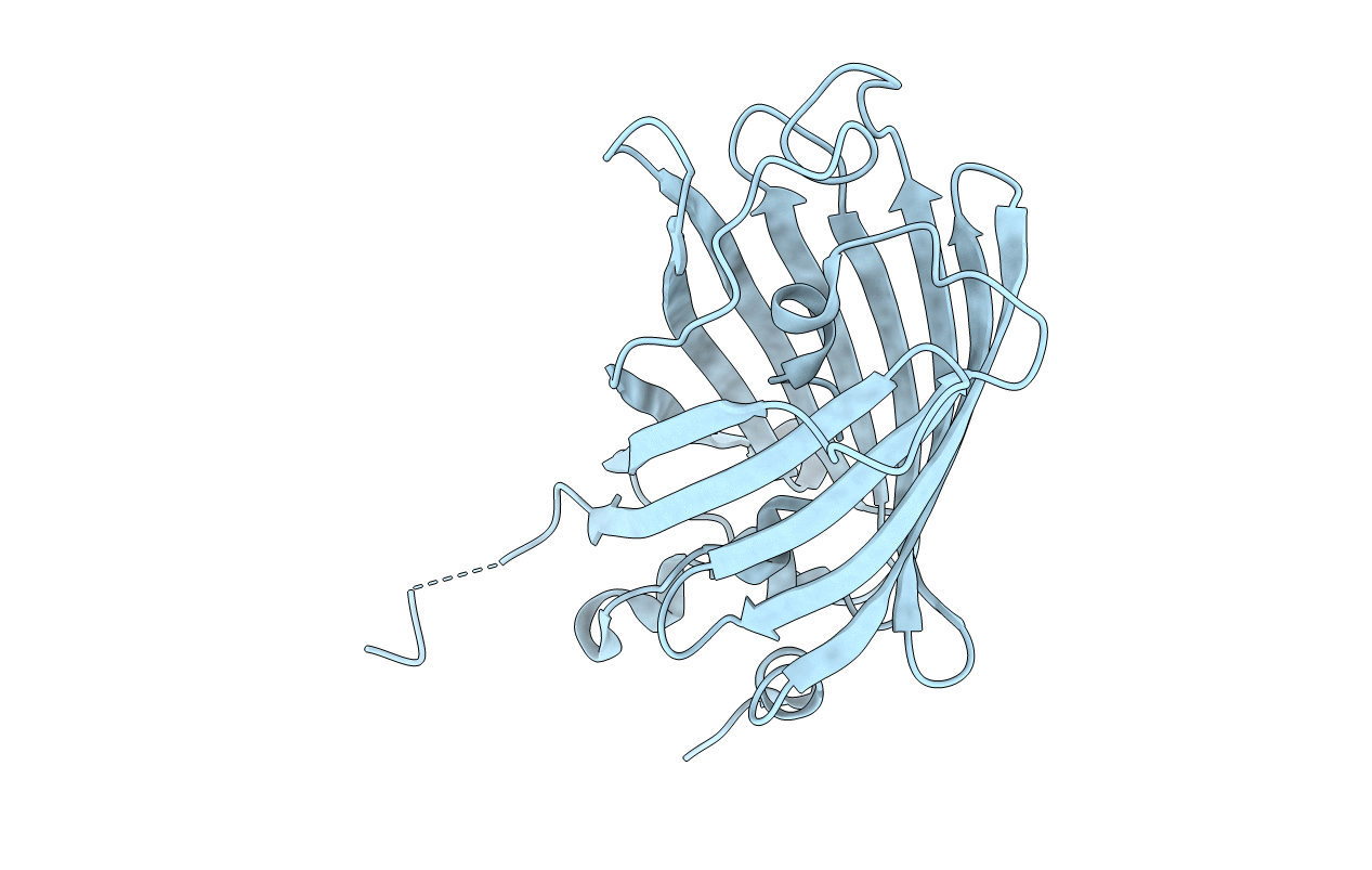 3SSK image