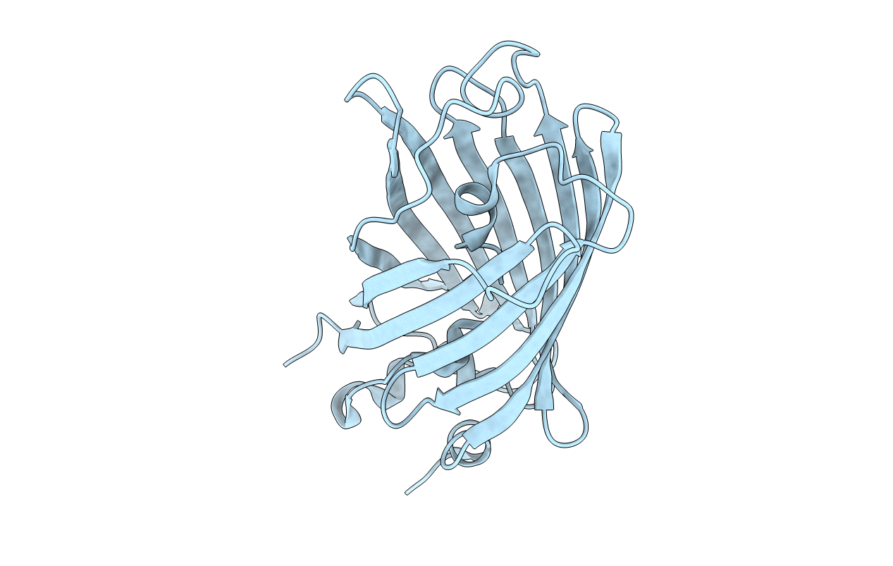 3SSP image