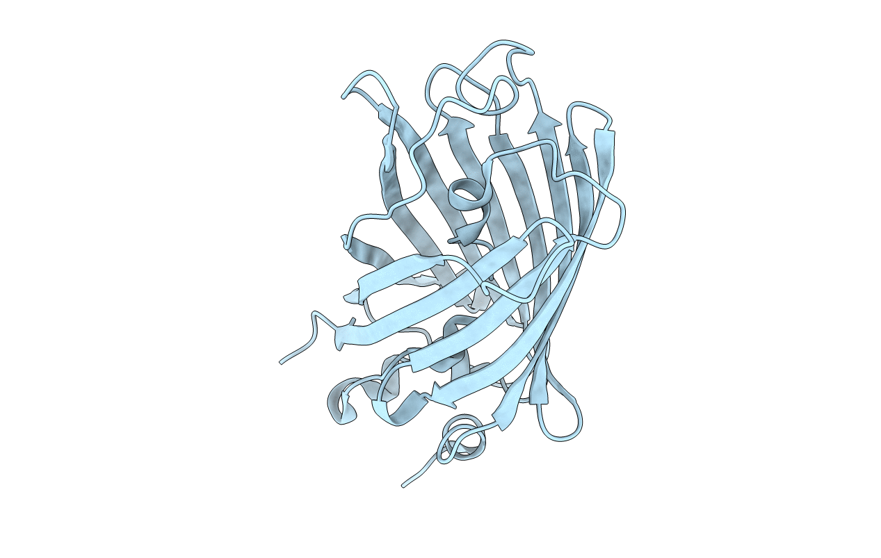 3SSV image