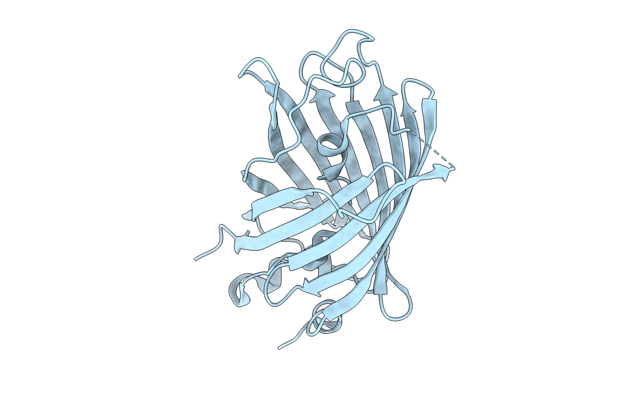 3SSY image