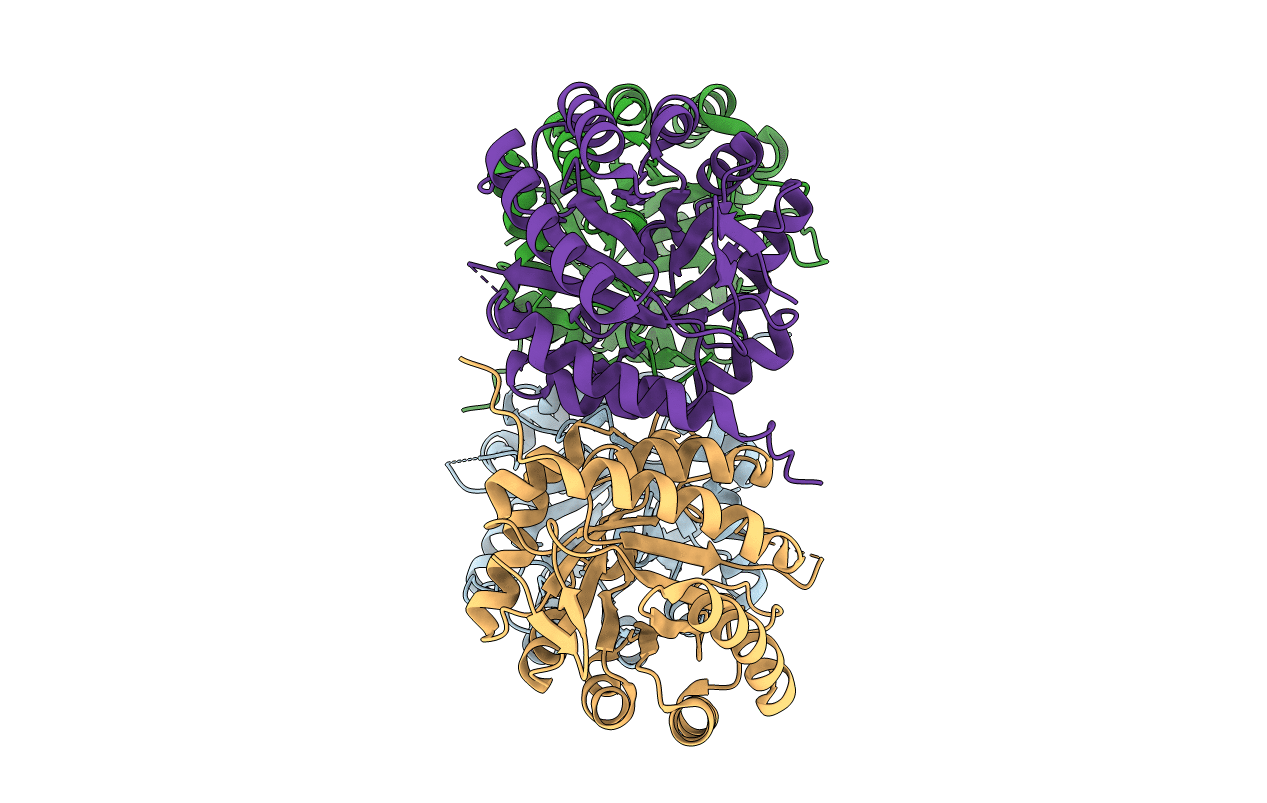3STG image