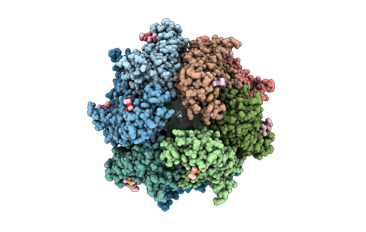 3STJ image