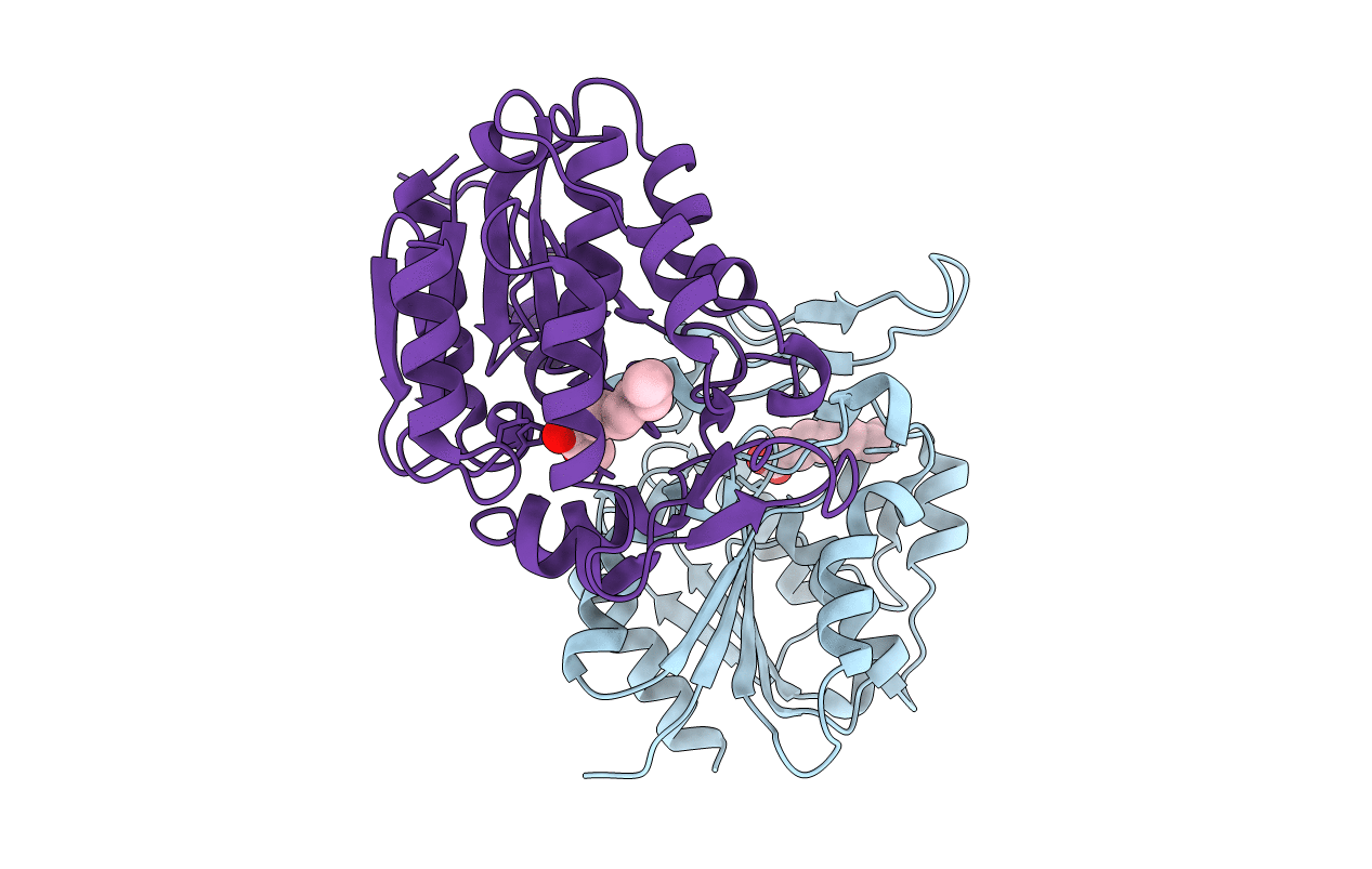 3STU image