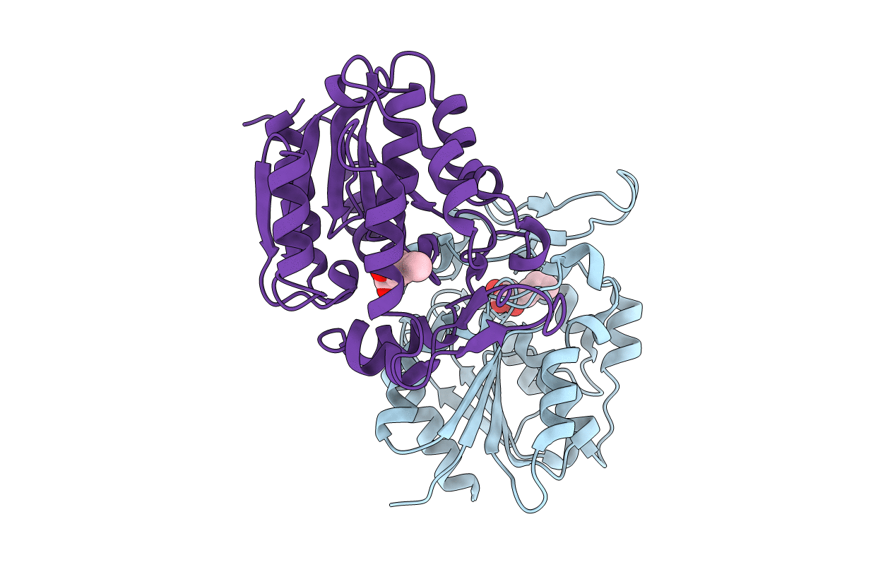 3STX image