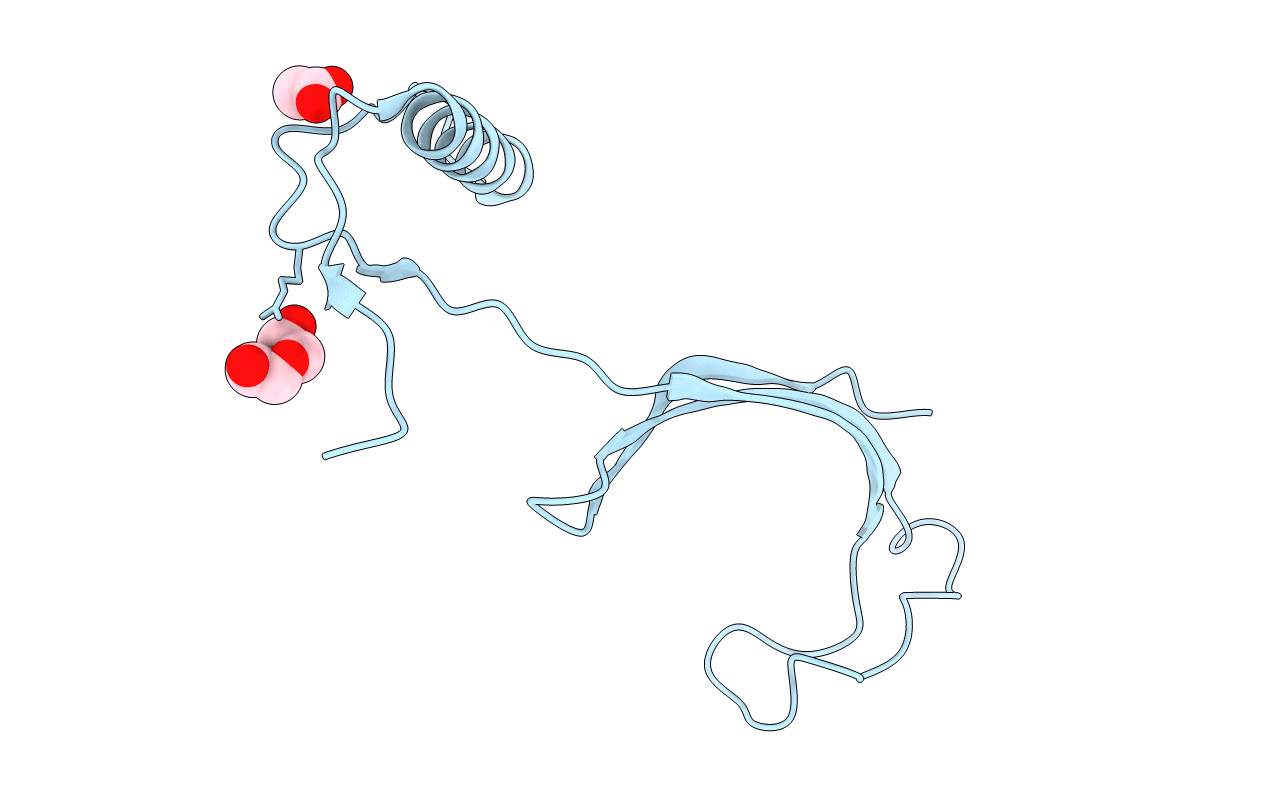 3SVA image