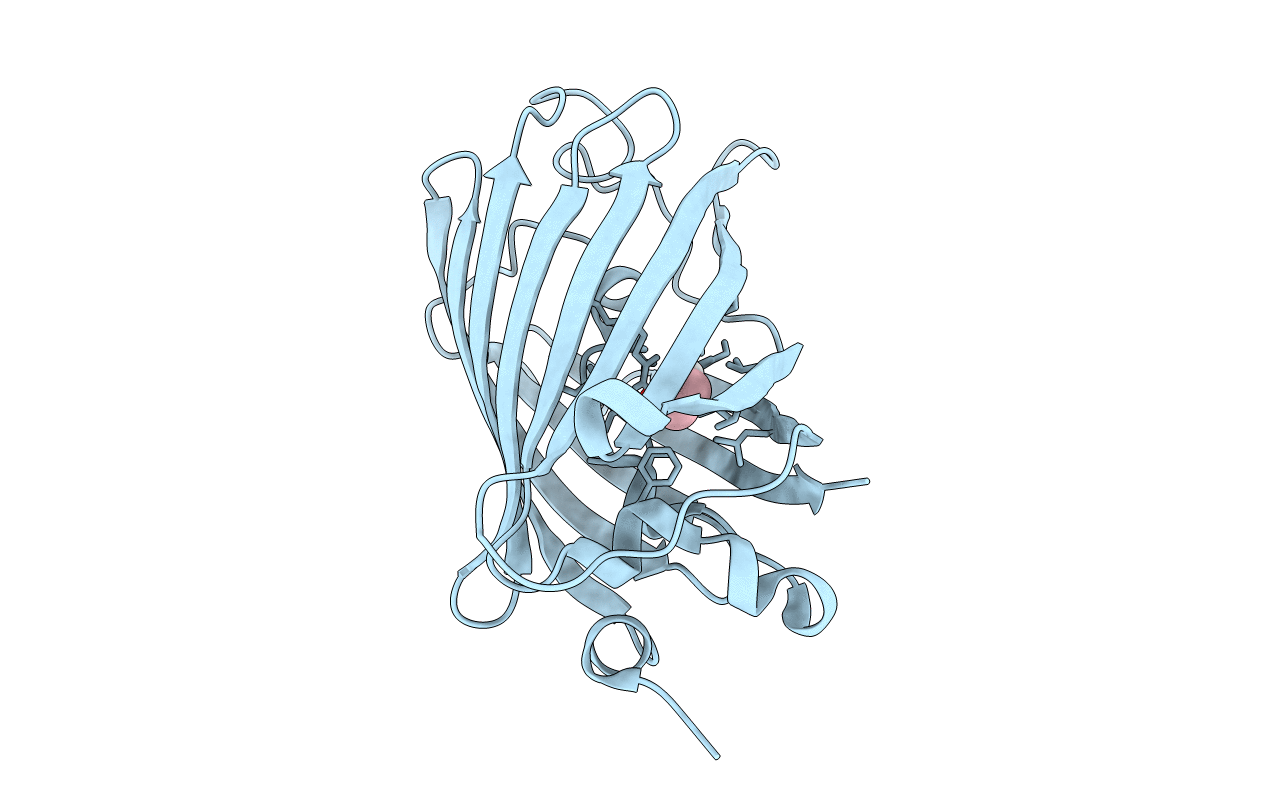 3SVB image