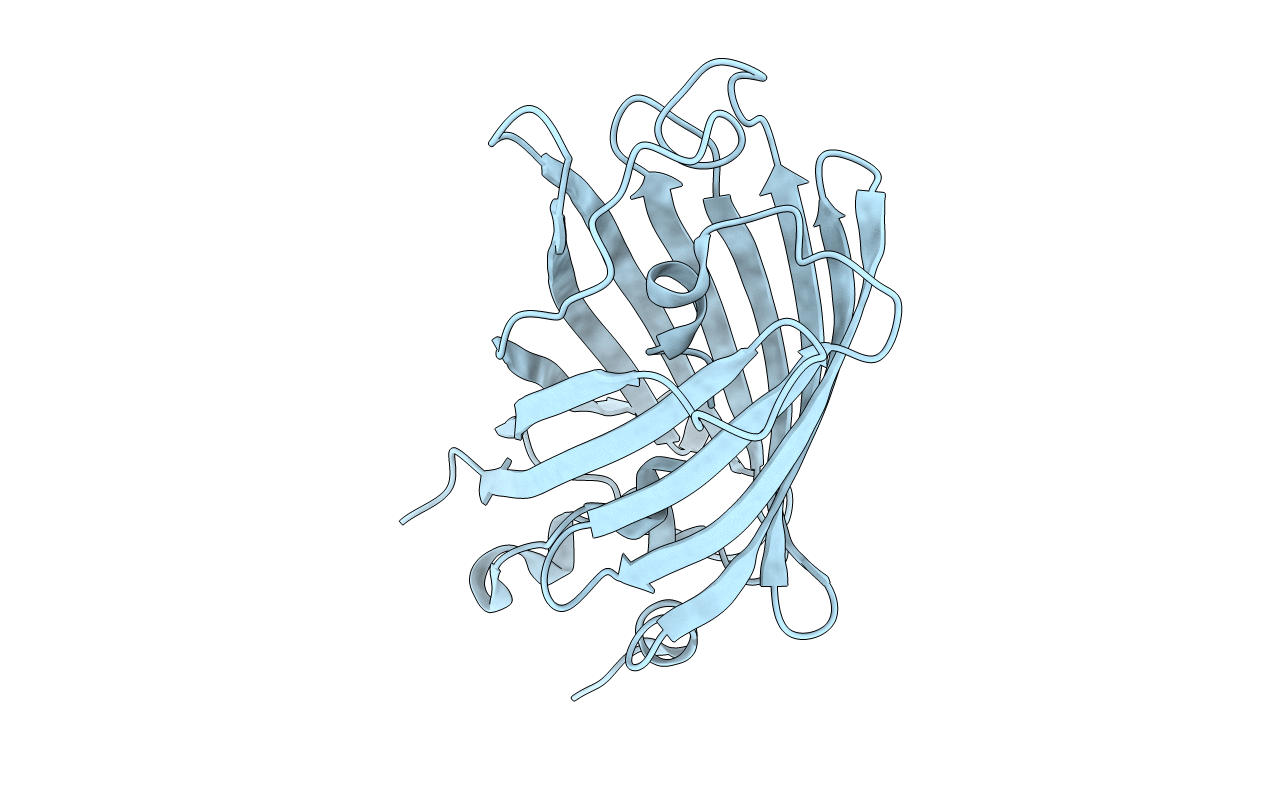 3SVE image