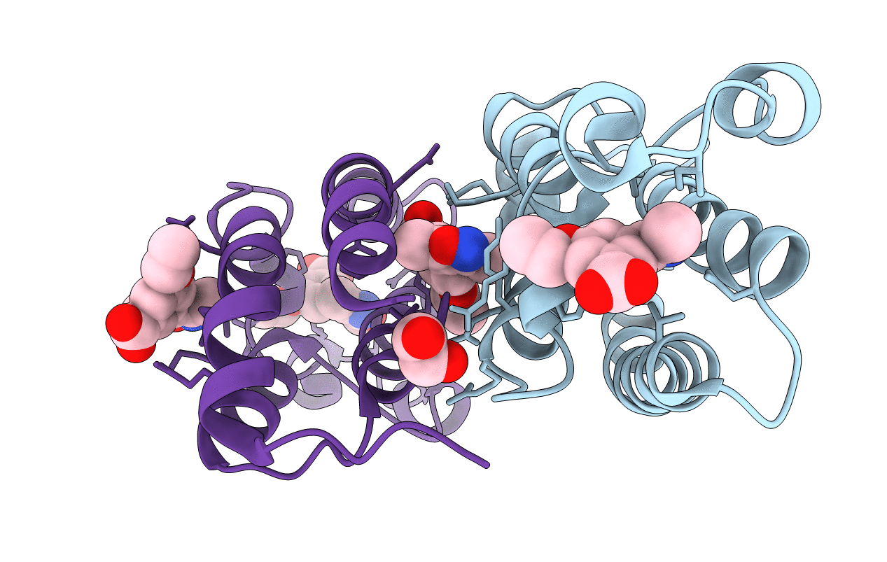 3SVH image