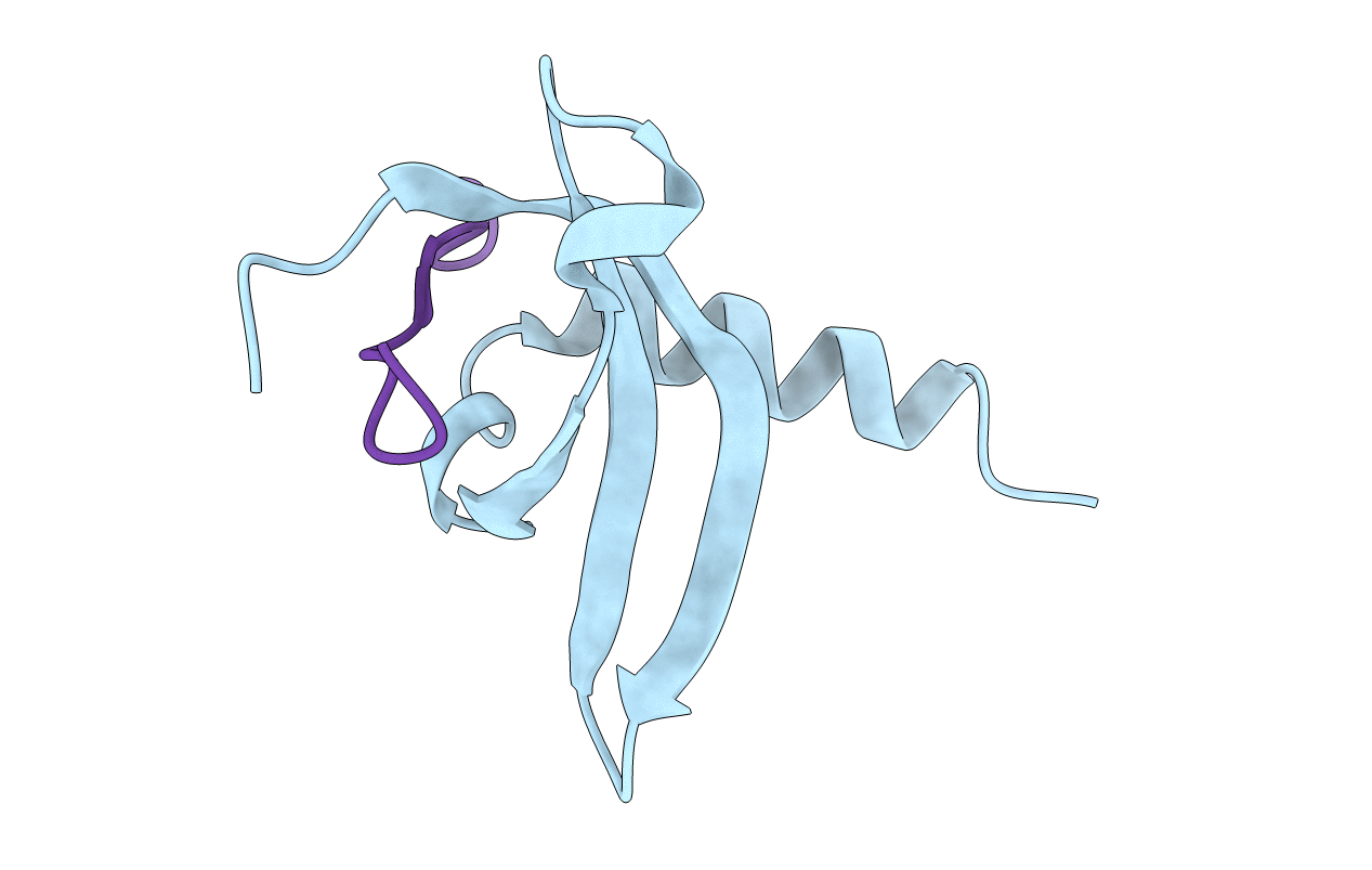 3SVM image