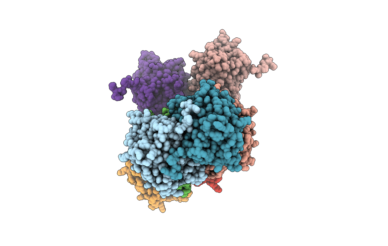 3SVS image