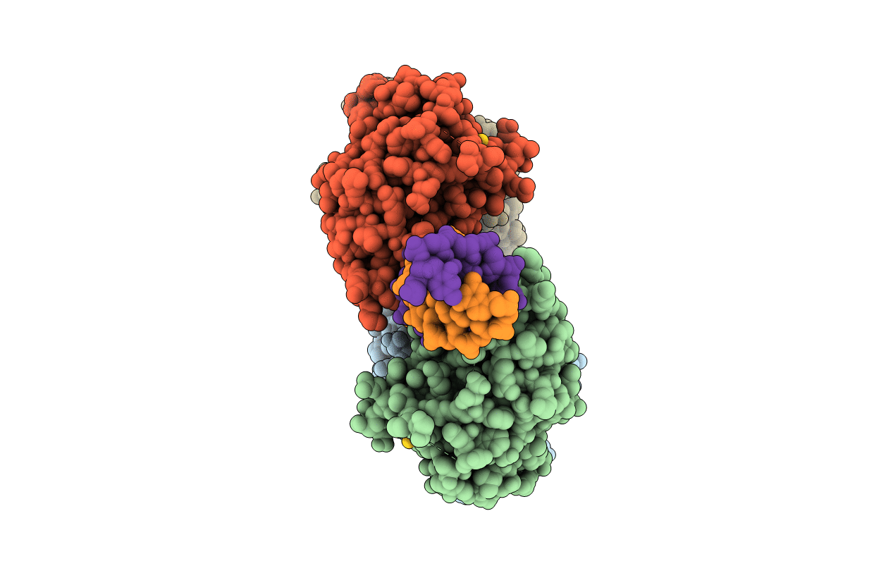 3SWM image